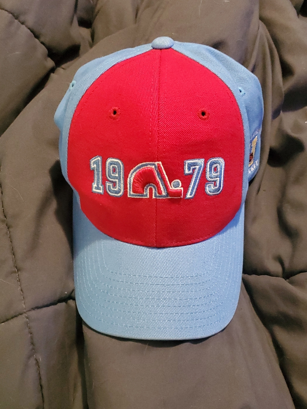 NHL Vintage Quebec Nordiques Puma Hat...🏒